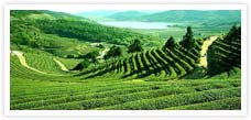 Assam, Arunachal and Meghalaya