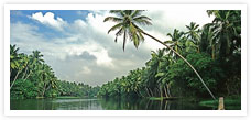 Kerala Beaches and Backwaters