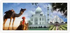 Golden Triangle with Himalayan 