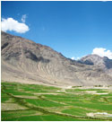 North India Tours