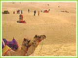 Thar Desert
