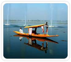 Shikara Boatrise, Srinagar